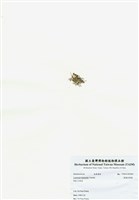 藏品(異枝軟骨凹頂藻)的圖片